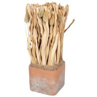 See more information about the Dried Grass Bouquet Artificial Plant - 30cm