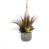 See more information about the Hanging Succulents in Lattice Design Small Grey Pot