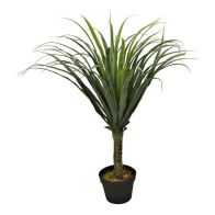See more information about the Yucca Artificial Plant Green - 90cm