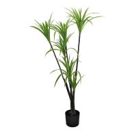 See more information about the Dracaena Marginata Tree Artificial Plant Green - 120cm