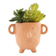See more information about the Face Faux Succulent Terracotta - 14cm