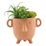 See more information about the Face Faux Succulent Terracotta - 27cm