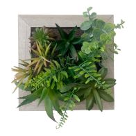 See more information about the Frame Faux Succulent Wood Wall Mounted - 20cm