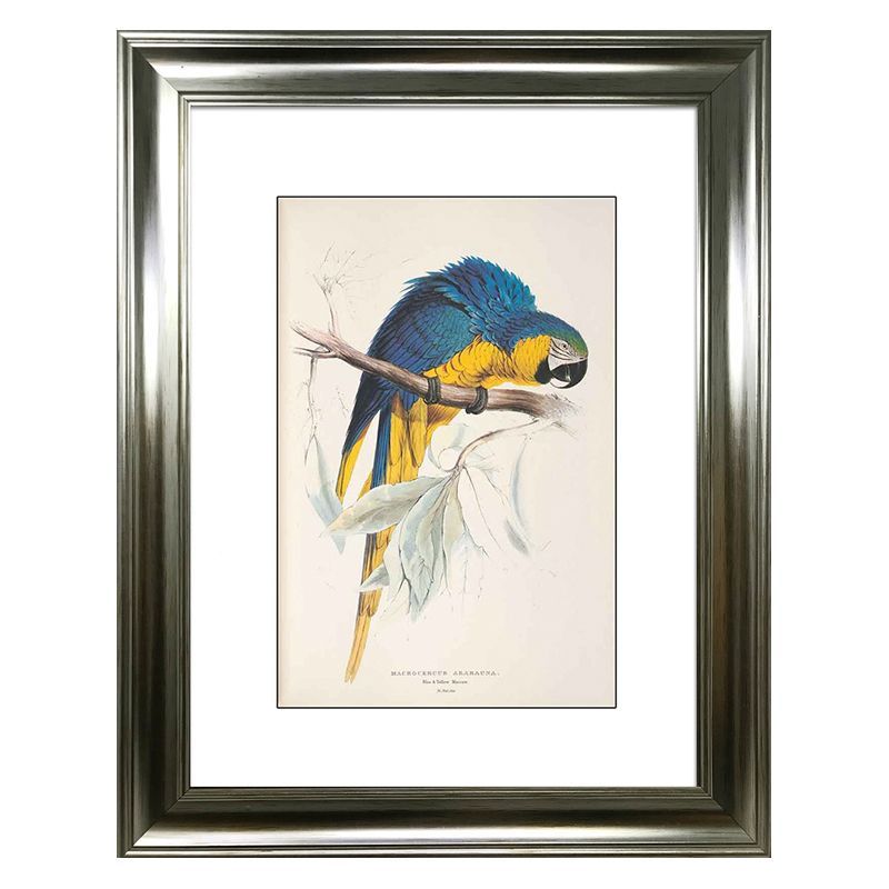 Tropical Birds Parrot Framed Print Wall Art 16 x 12 Inch