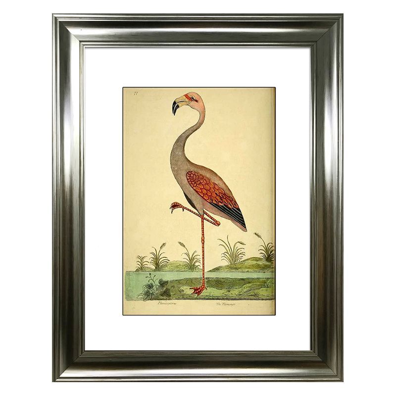 Tropical Birds Flamingo Framed Print Wall Art 16 x 12 Inch