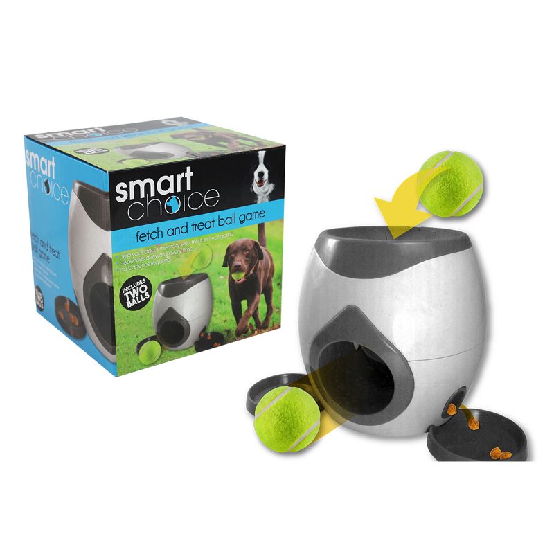 Smart Choice Fetch & Treat Dog Ball Game & 2 Balls