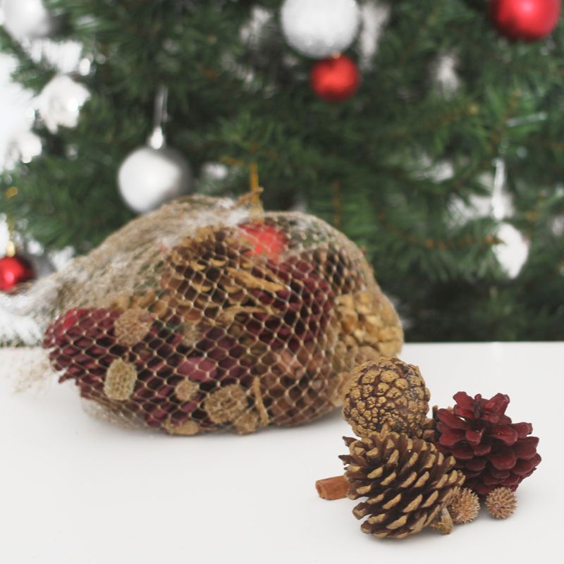 Festive Exotics Pine & Cinnamon Potpourri In A Net - Red & Gold