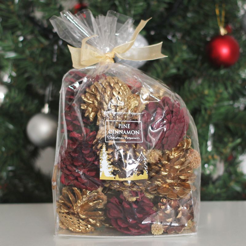 Festive Exotics Pine & Cinnamon Potpourri In A Bag - Gold Ribbon