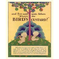 See more information about the Vintage Bird's Custard Sign Metal Wall Mounted - 40cm