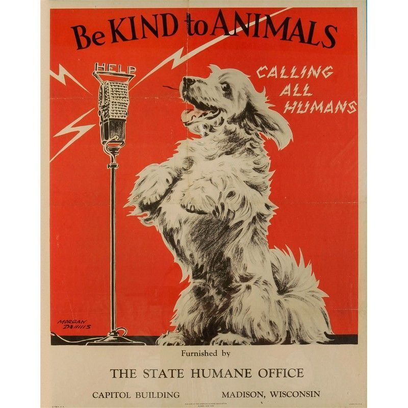 Vintage Be Kind To Animals Sign Metal Wall Mounted - 40cm